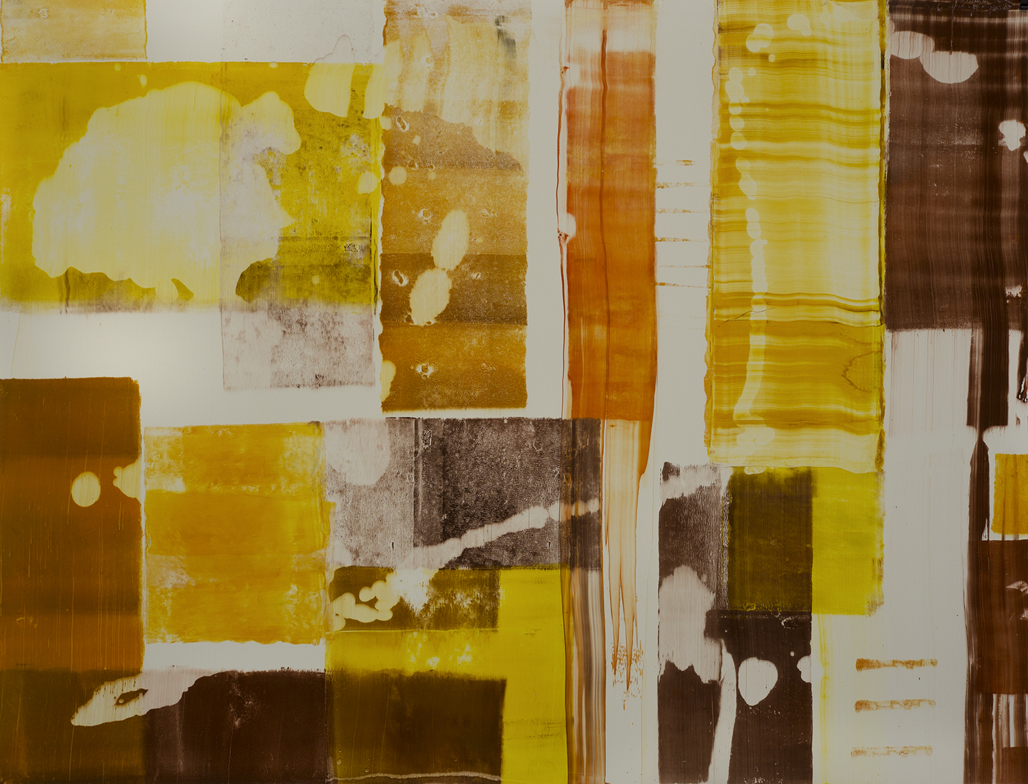 #8, 20 x 26 inches, oil paint, paper