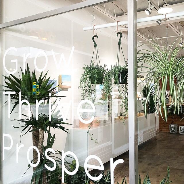 REOPENING &mdash; starting tomorrow 5/22 the shop will open the doors for customers. A few things to take note of ⬇️⬇️. . - For your safety and ours, we ask that everyone who enters wear a face mask and practice social distancing.
.
- We are allowing