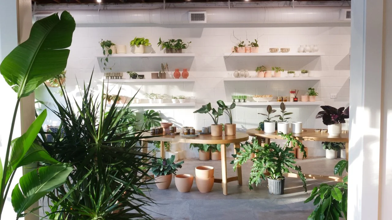 Flourish Plant Shop & Wine Bar
