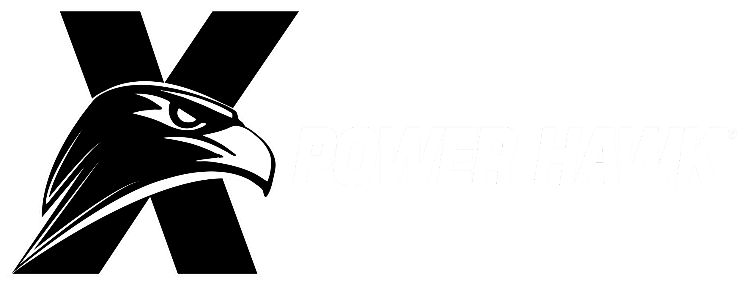 Power Hawk Technologies, Inc.
