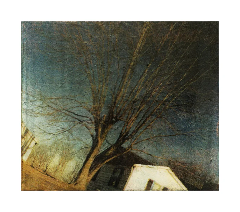 Bare Tree