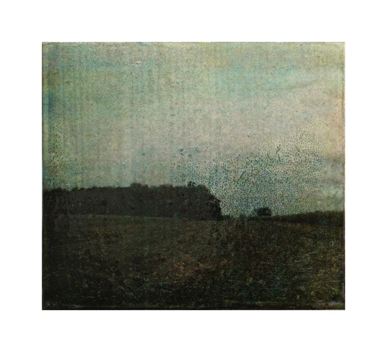 Fallow Field