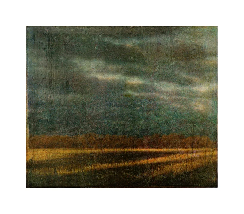 Field at Dawn