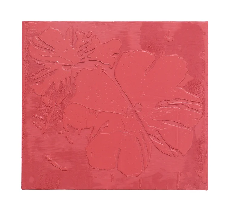 Rose-Colored Primrose