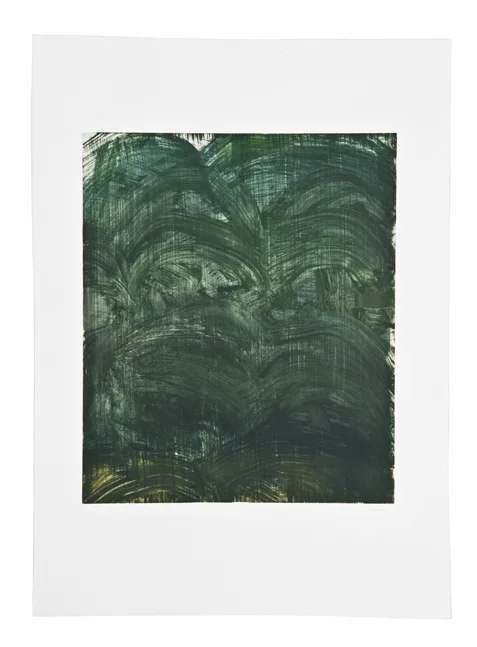 The Green World: Fujita's Wager 30