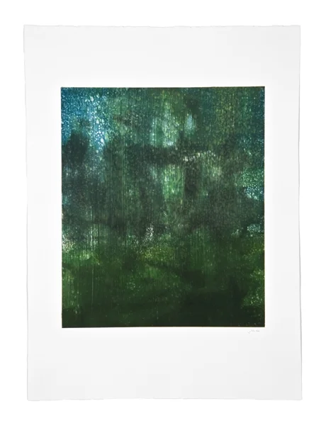 The Green World: Fujita's Wager 51