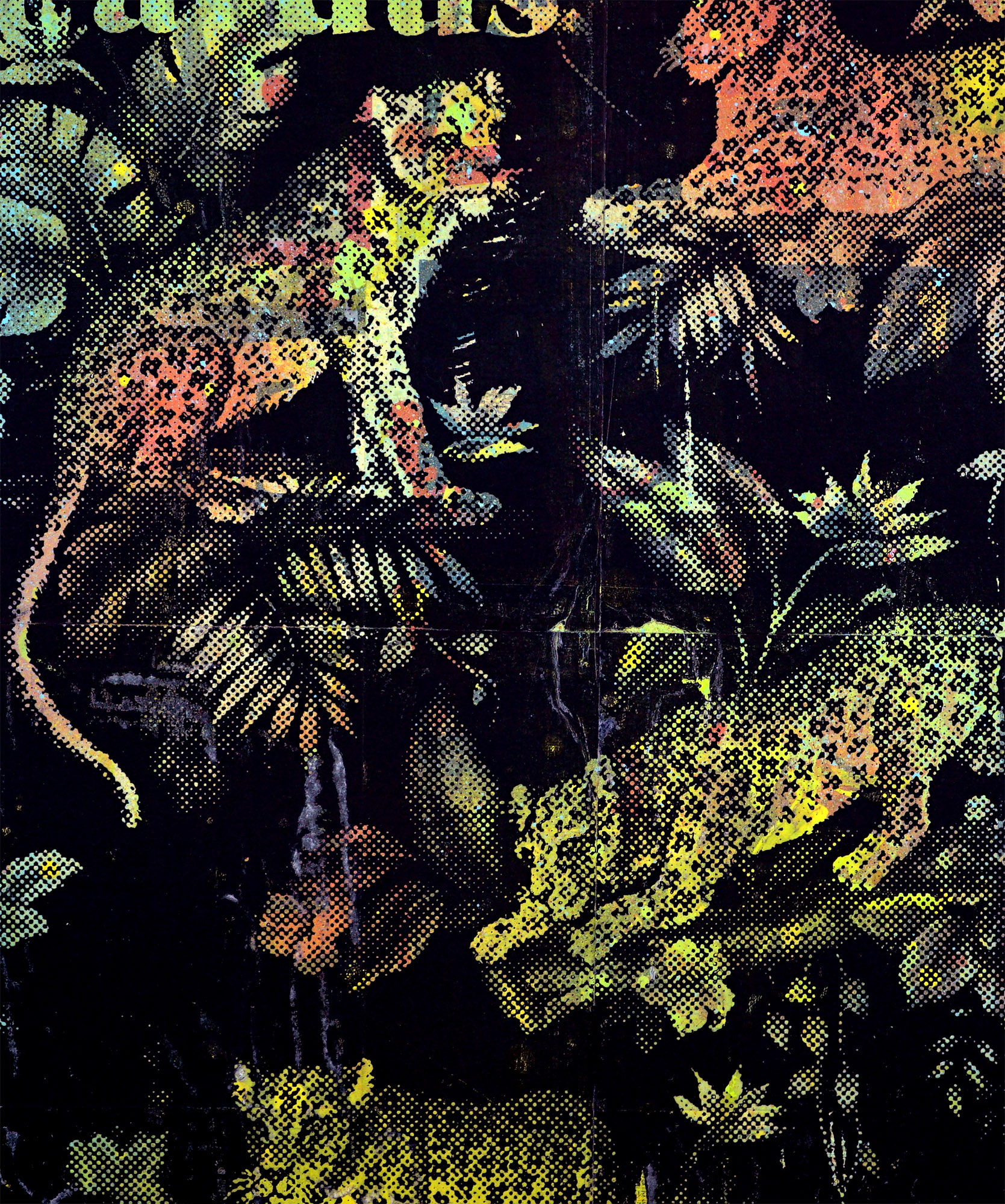 Panthera Pardus — Joe Kral