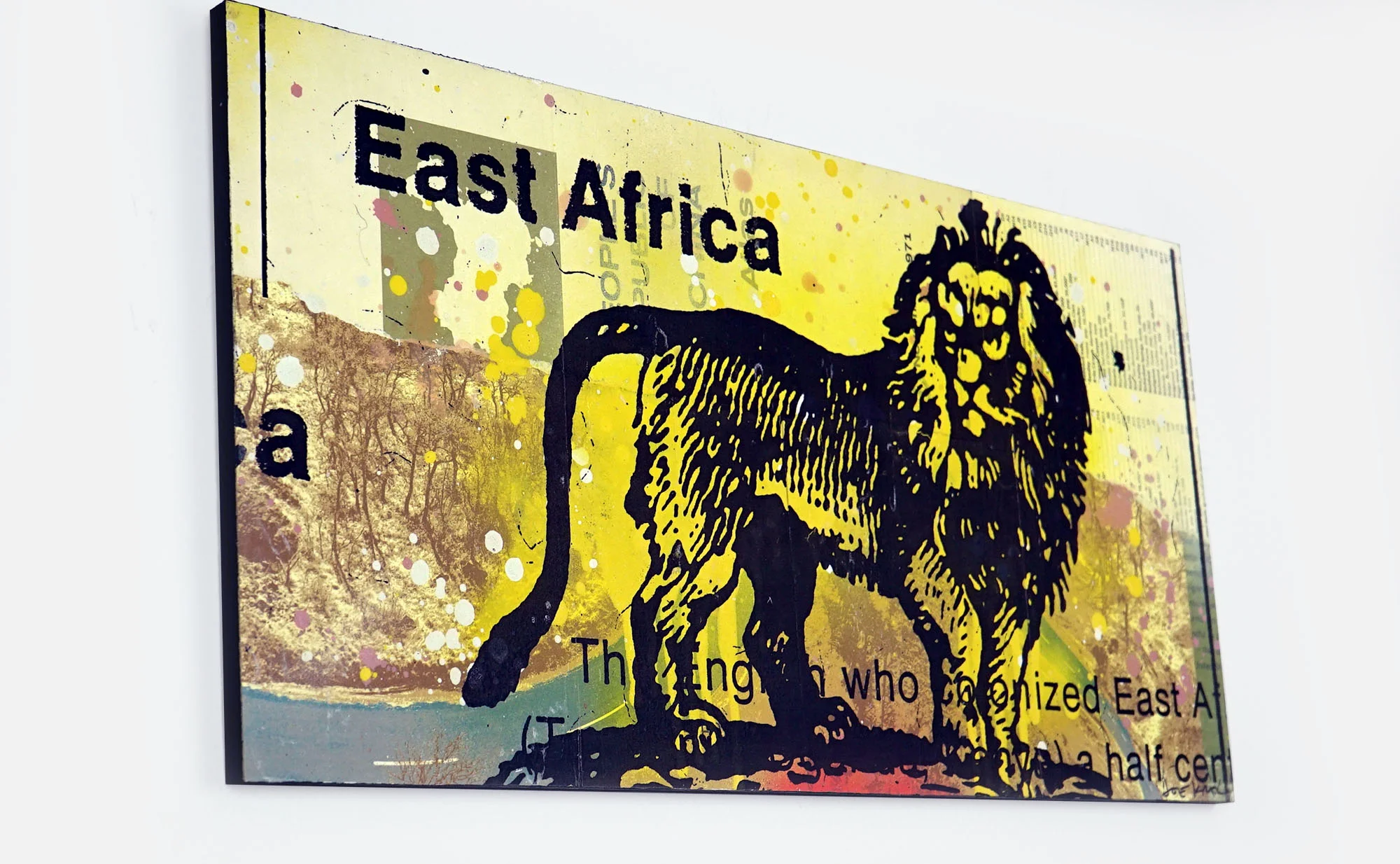 22x11_african_lion_4.jpg