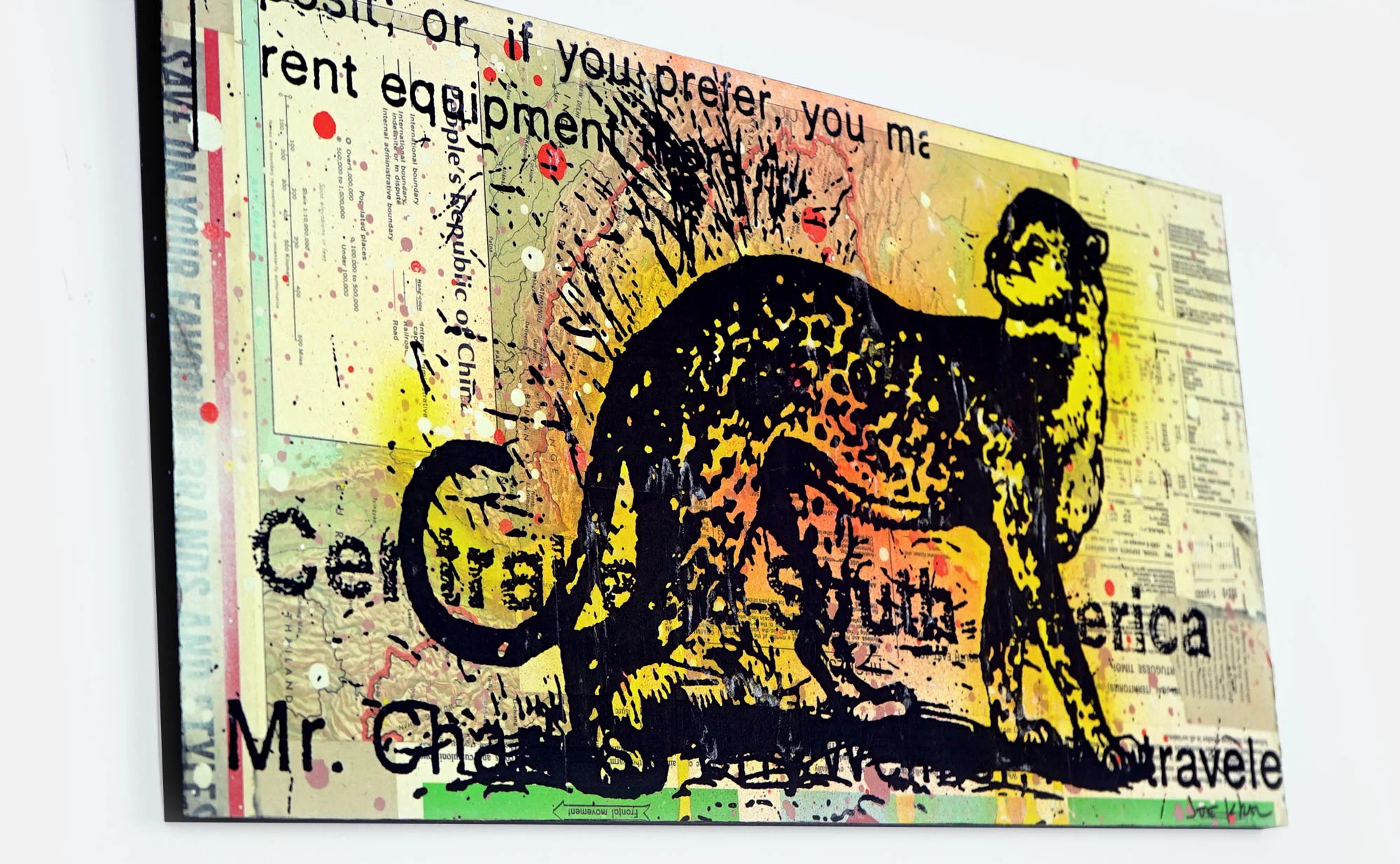22x11_cheetah_4.jpg