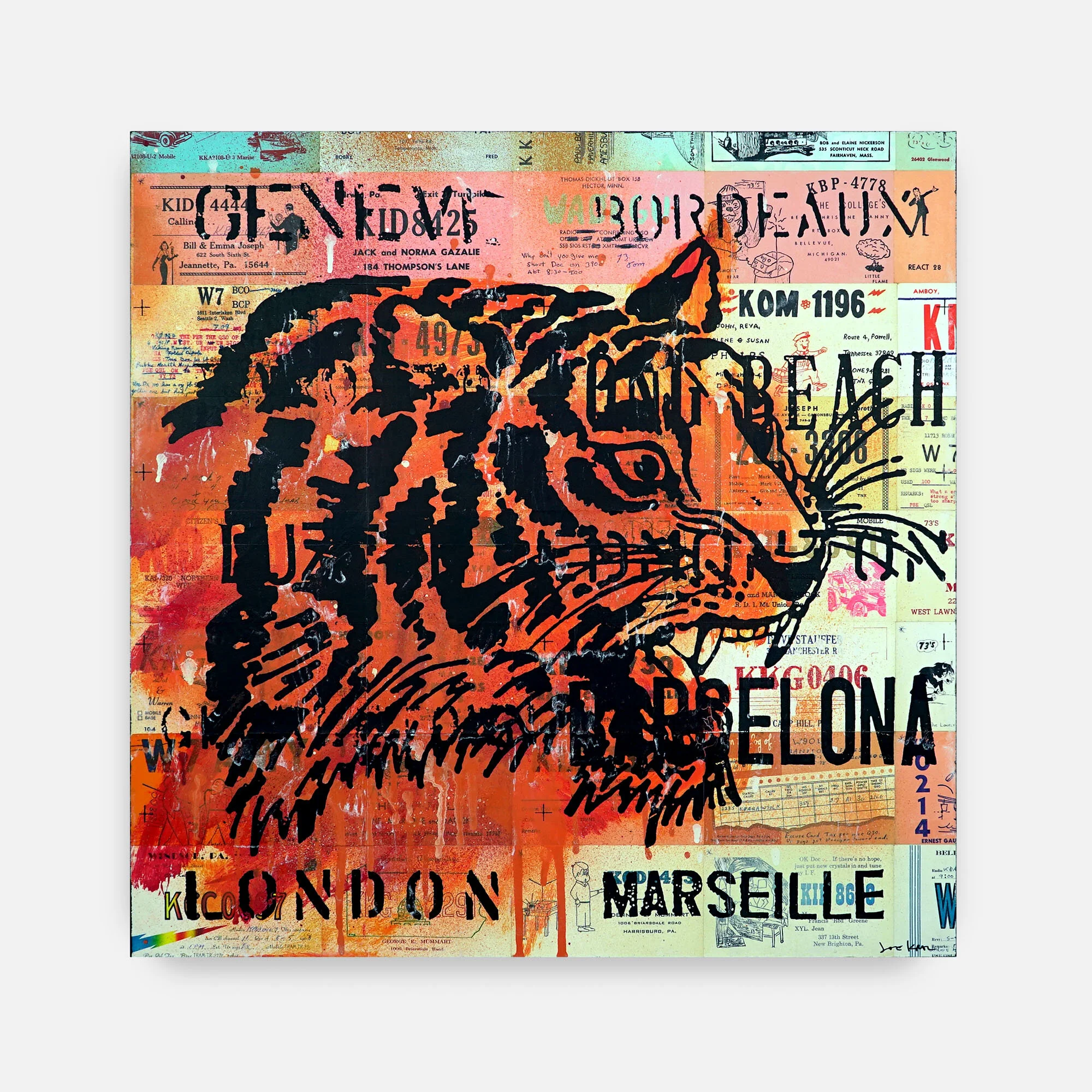 24x24_tiger_head_1.jpg