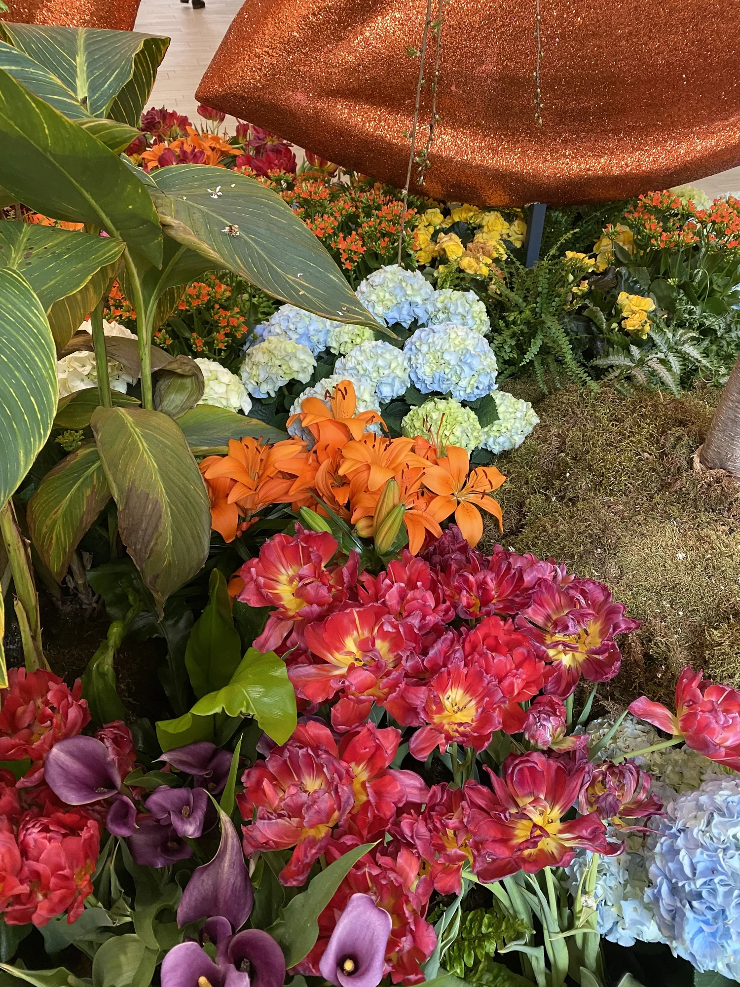 World of Wonder at Galleria 2023 — Joe Kral, image size:1500x2000