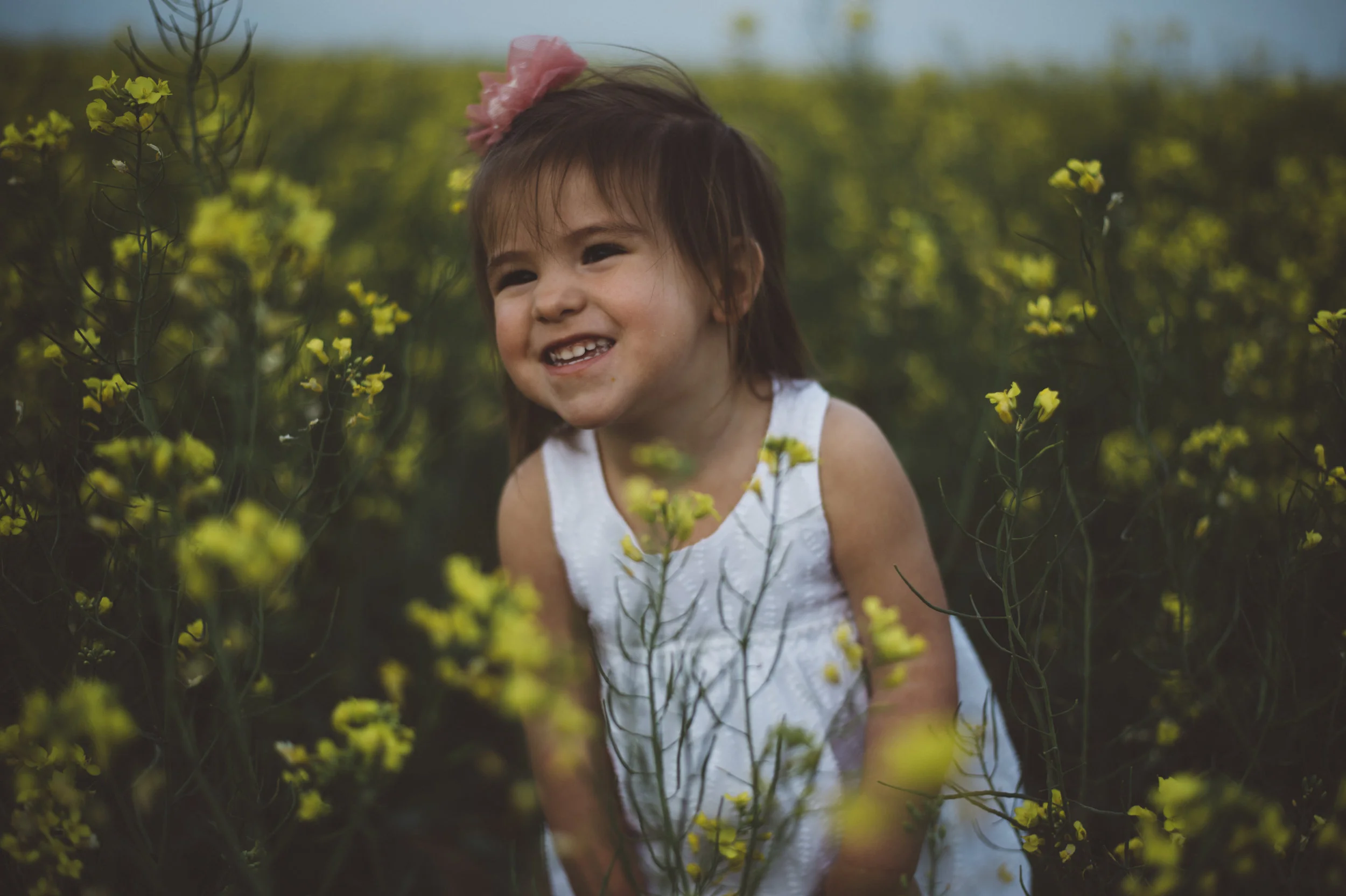 canola mini_2111.jpg