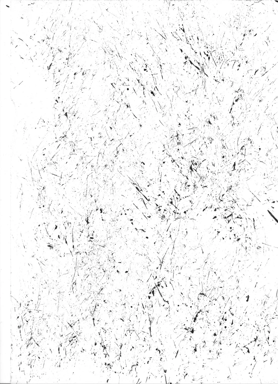 Screen Shot 2018-06-25 at 1.11.25 PM.jpg