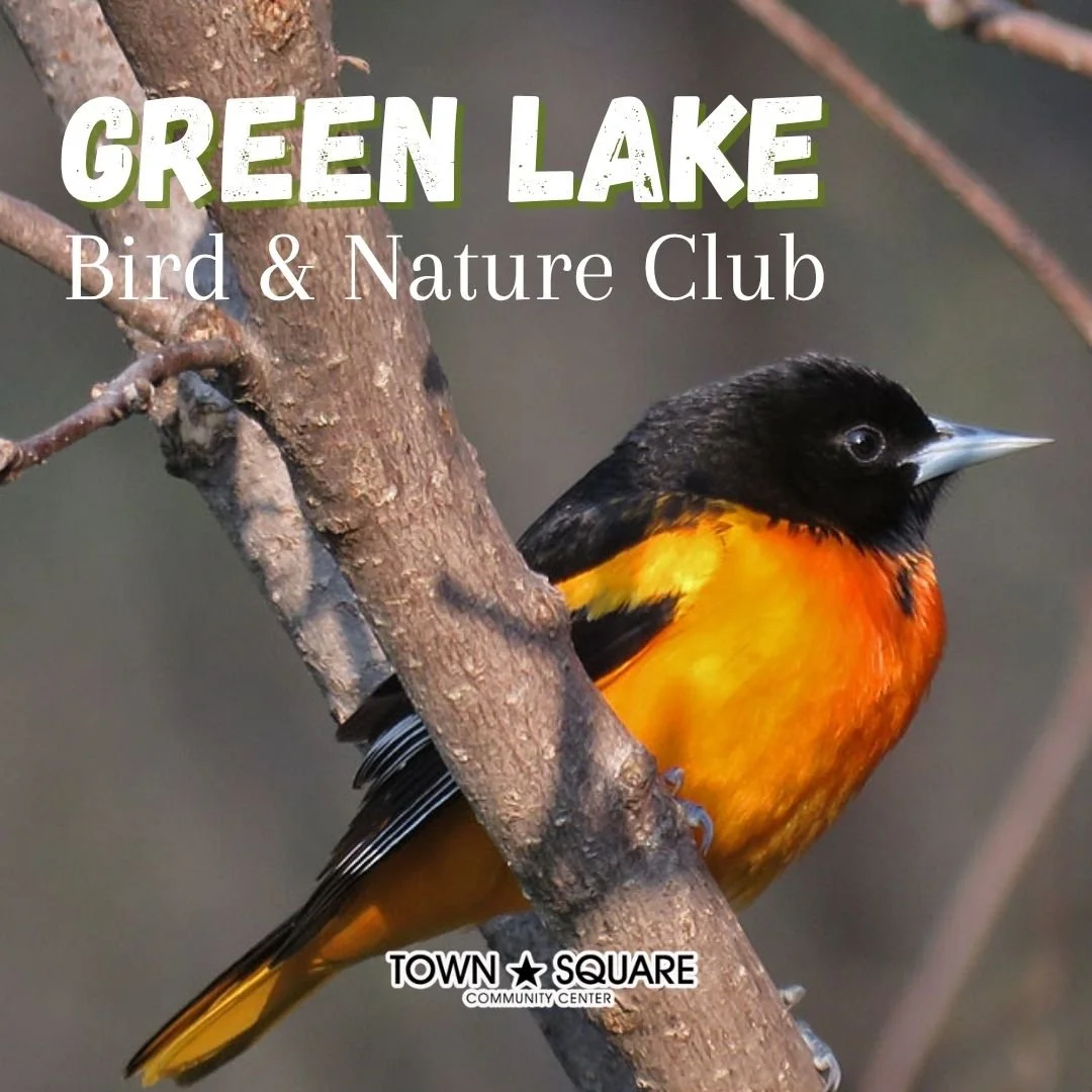 Green Lake Bird & Nature Club graphic featuring a Baltimore oriole perched on a tree branch.