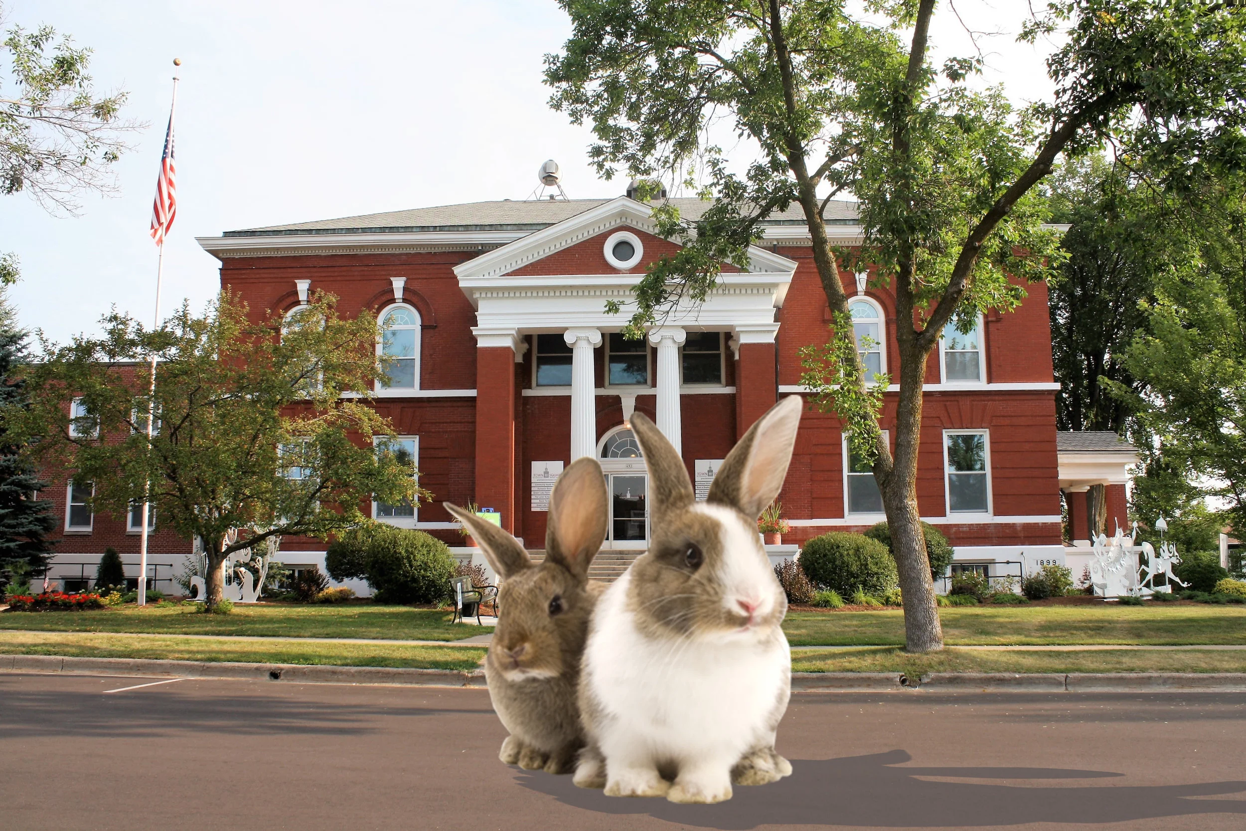 Bunny Bingo.jpg