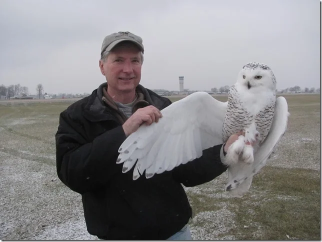 Great Horned Owl to Visit Town Square