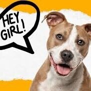 How to Speak Dog