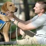 CLASS CANCELLED UNTIL FURTHER NOTICE -- Journey Together Service Dogs