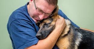 Senior Dogs: What You Need To Know