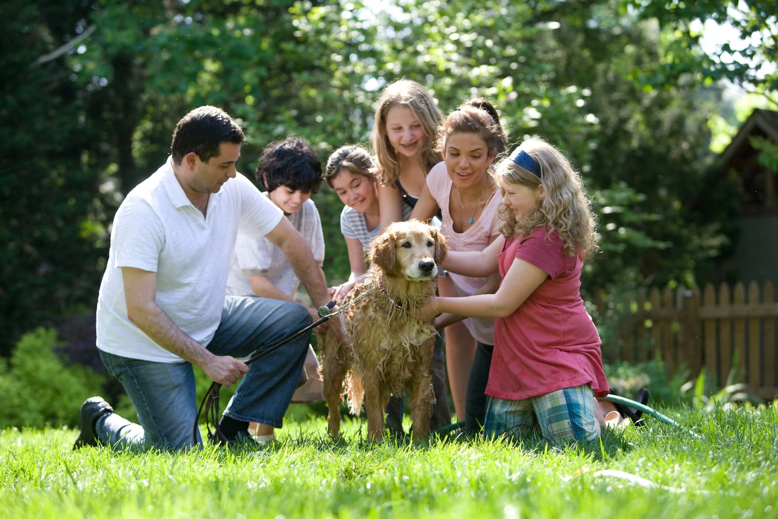Julia Meyers-Manor talks about Dog Empathy
