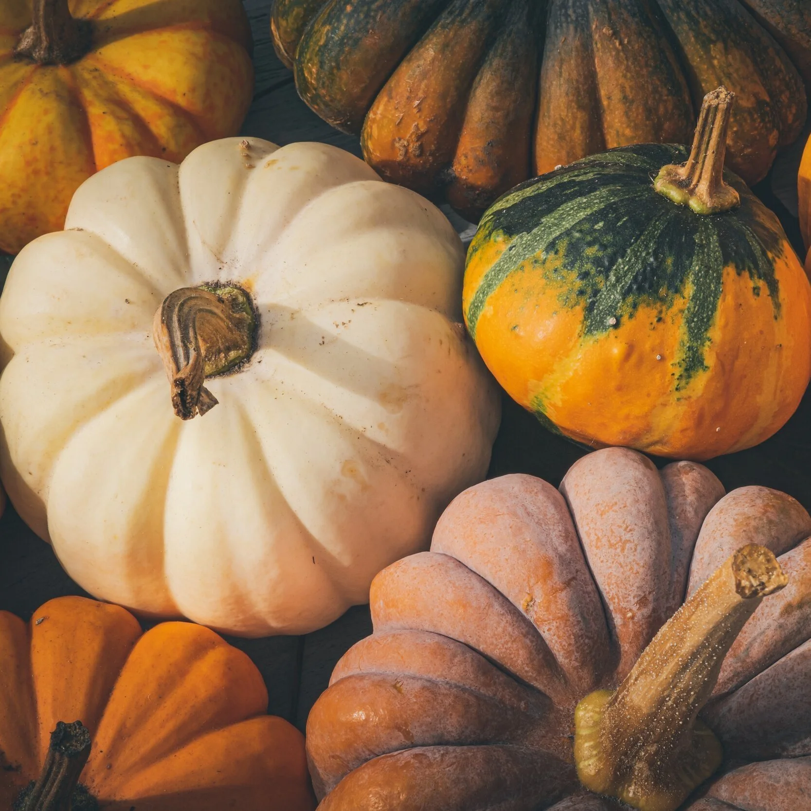 Harvest Fest Weekend at Town Square 