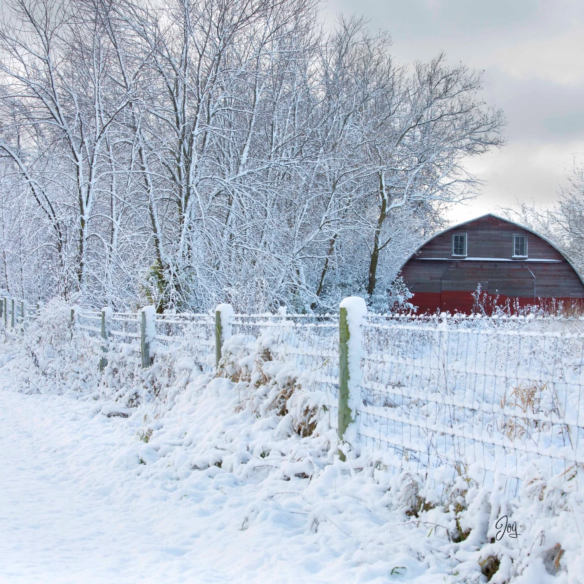 Gallery Reception:  The Photographic Art of Joy 