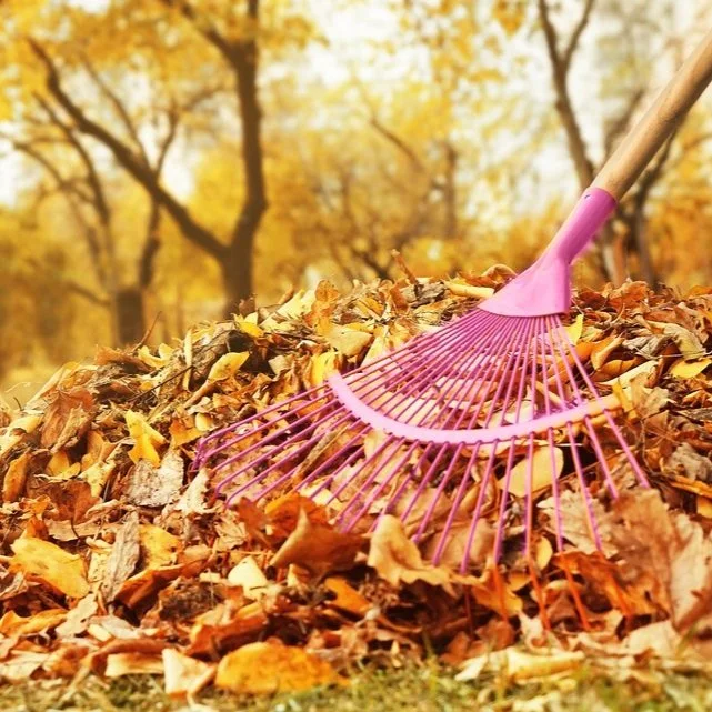 Rake for the Lake-Green Lake Association