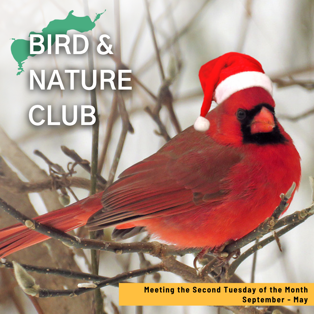 Bird and Nature Club