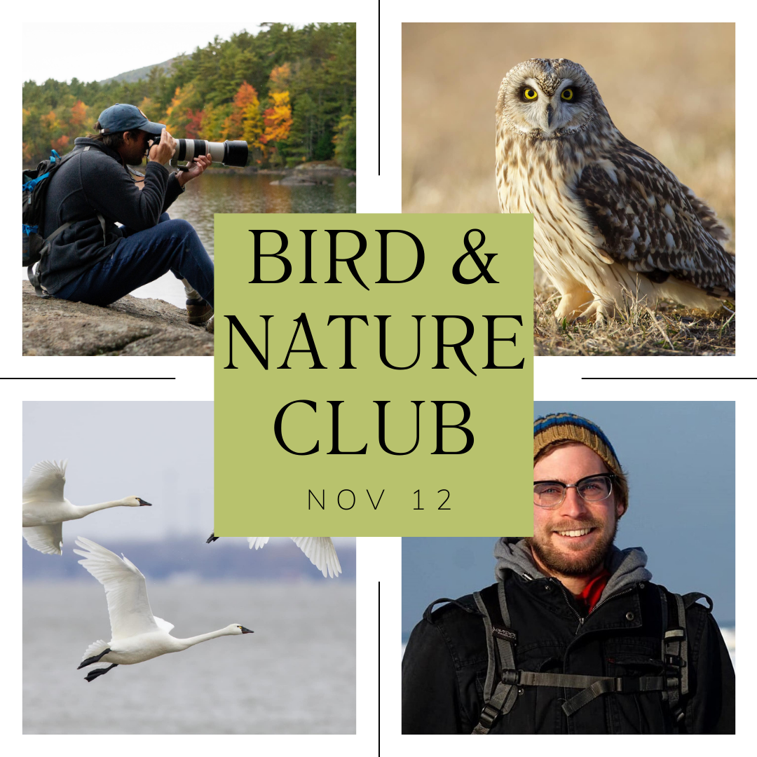 Bird and Nature Club
