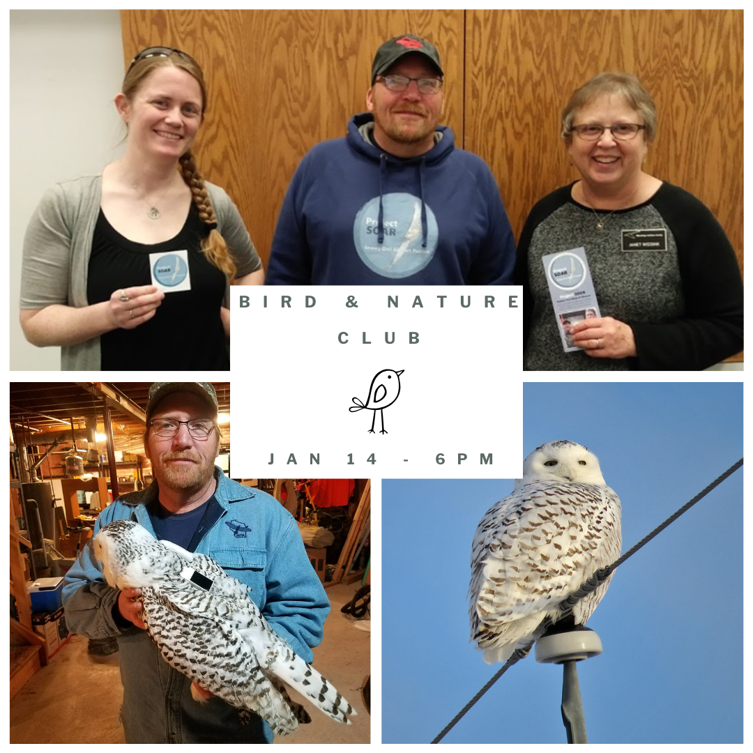Bird and Nature Club