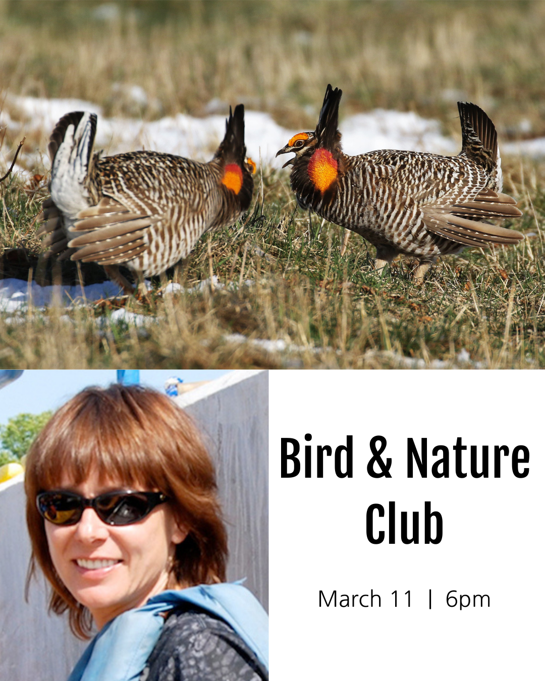 Bird and Nature Club
