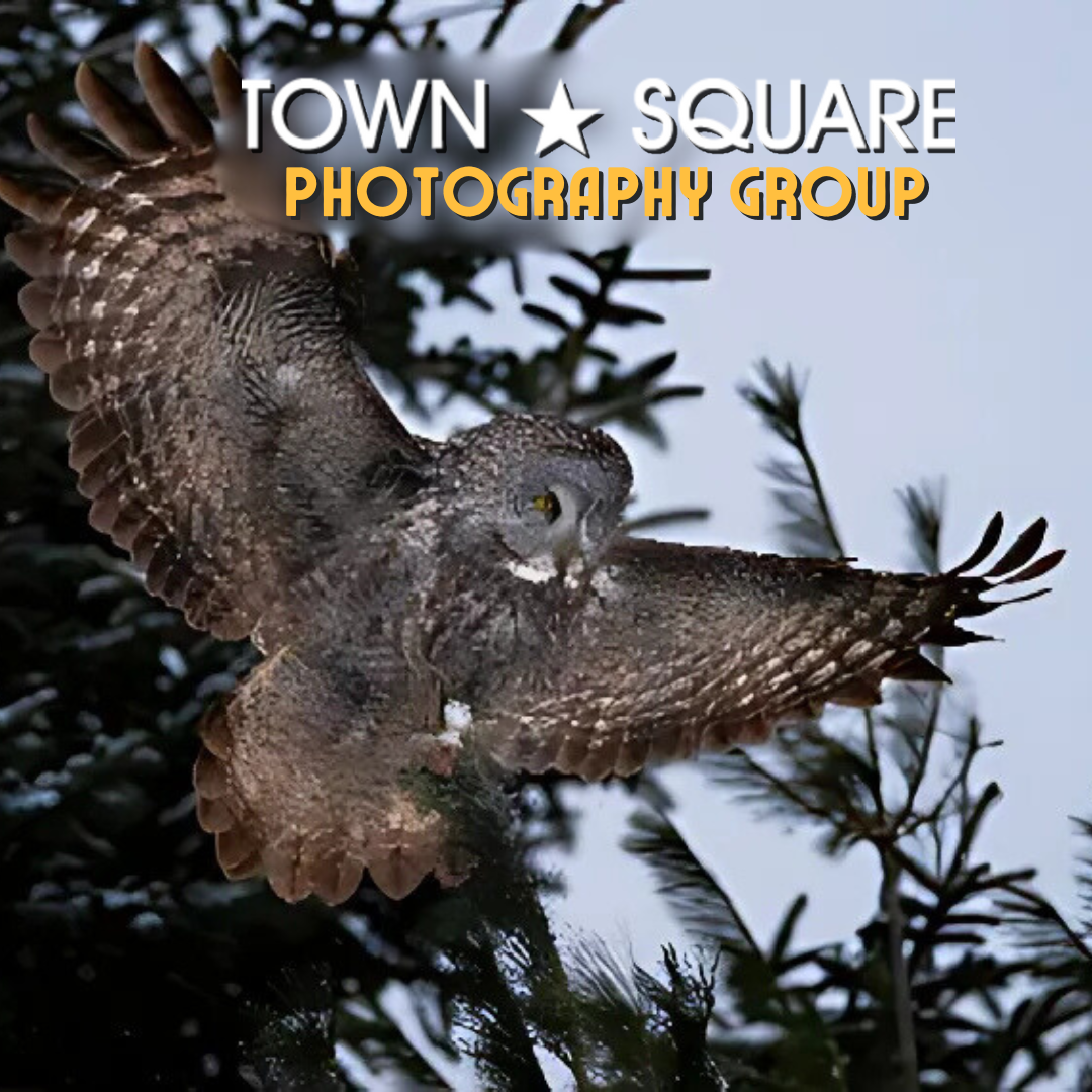 Town Square Photography Group