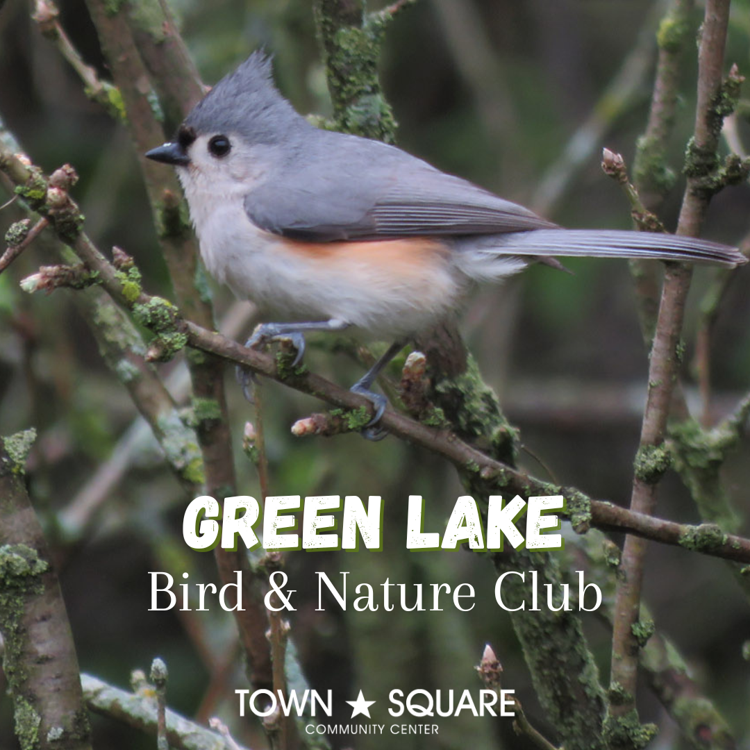 Bird and Nature Club