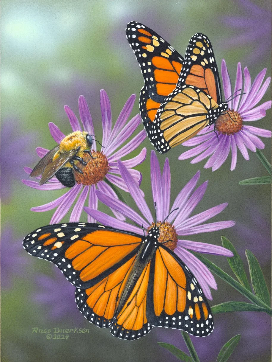 Monarchs and Bee (1).jpg