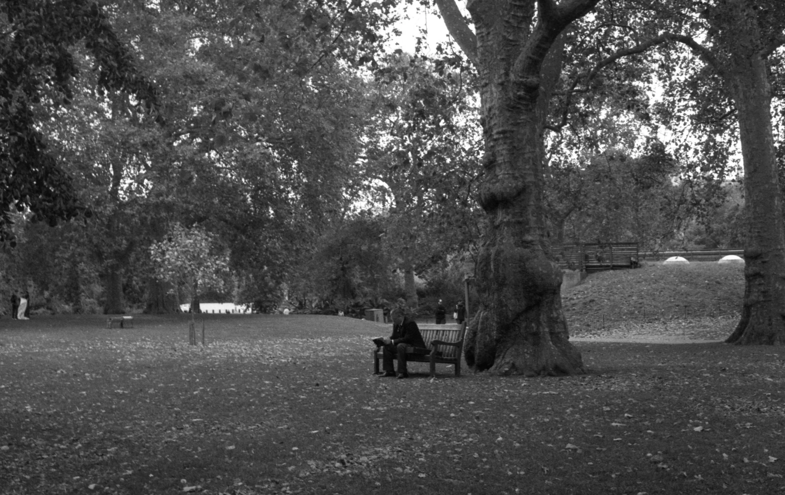 img20231012_00224726 (1).jpg