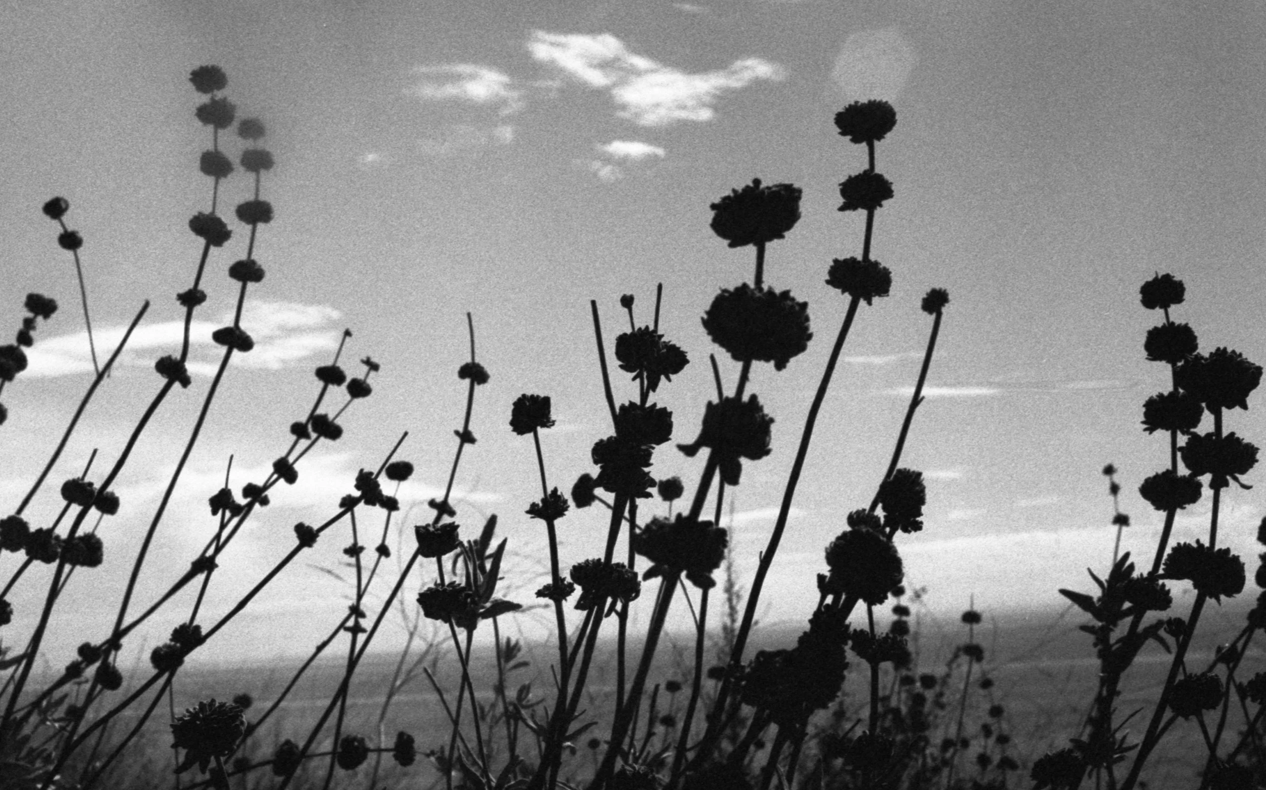 img20240612_796 (1).jpg