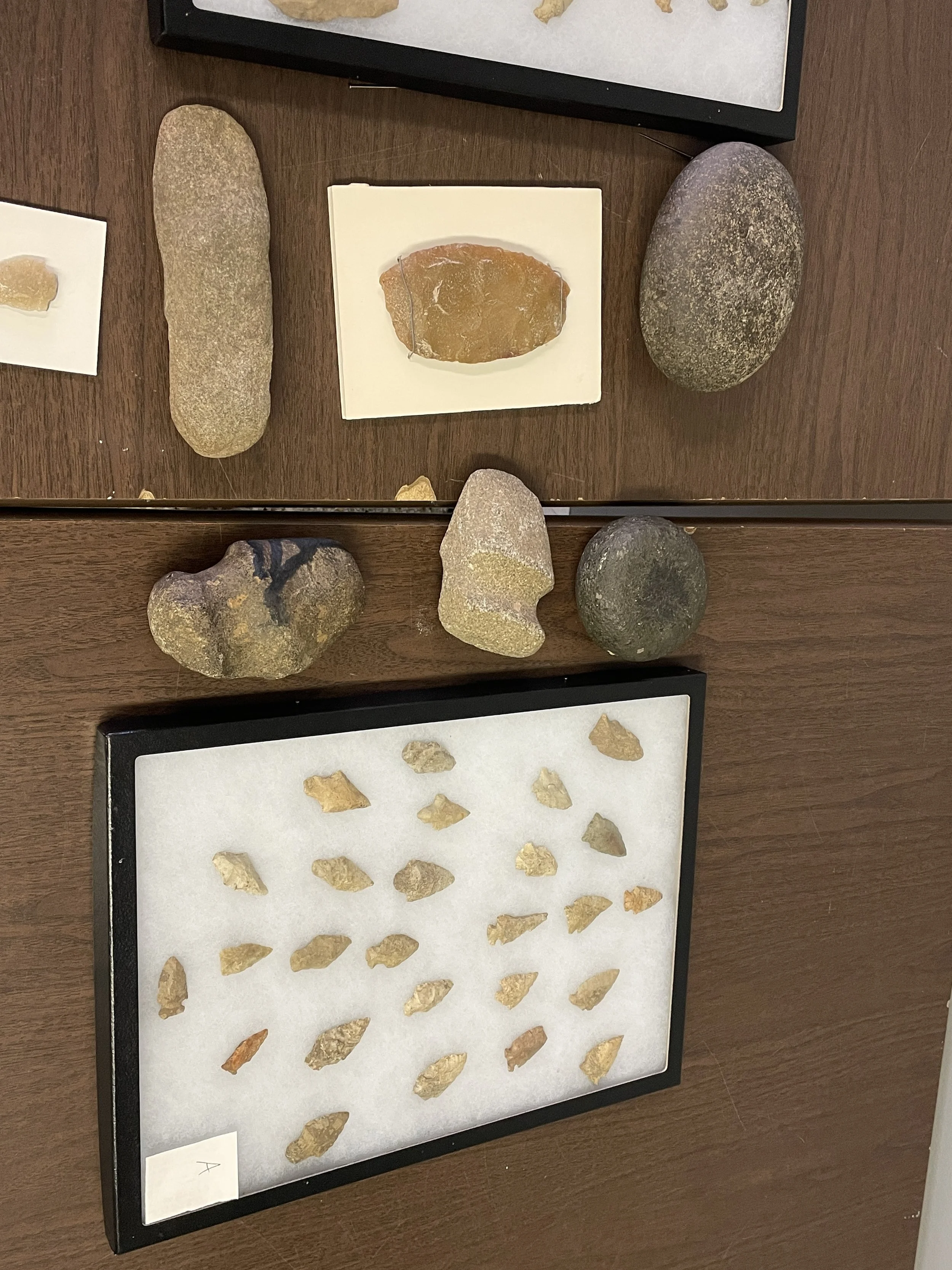 History Talk Archeological Finds3.JPG