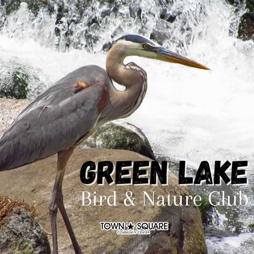 Bird and Nature Club