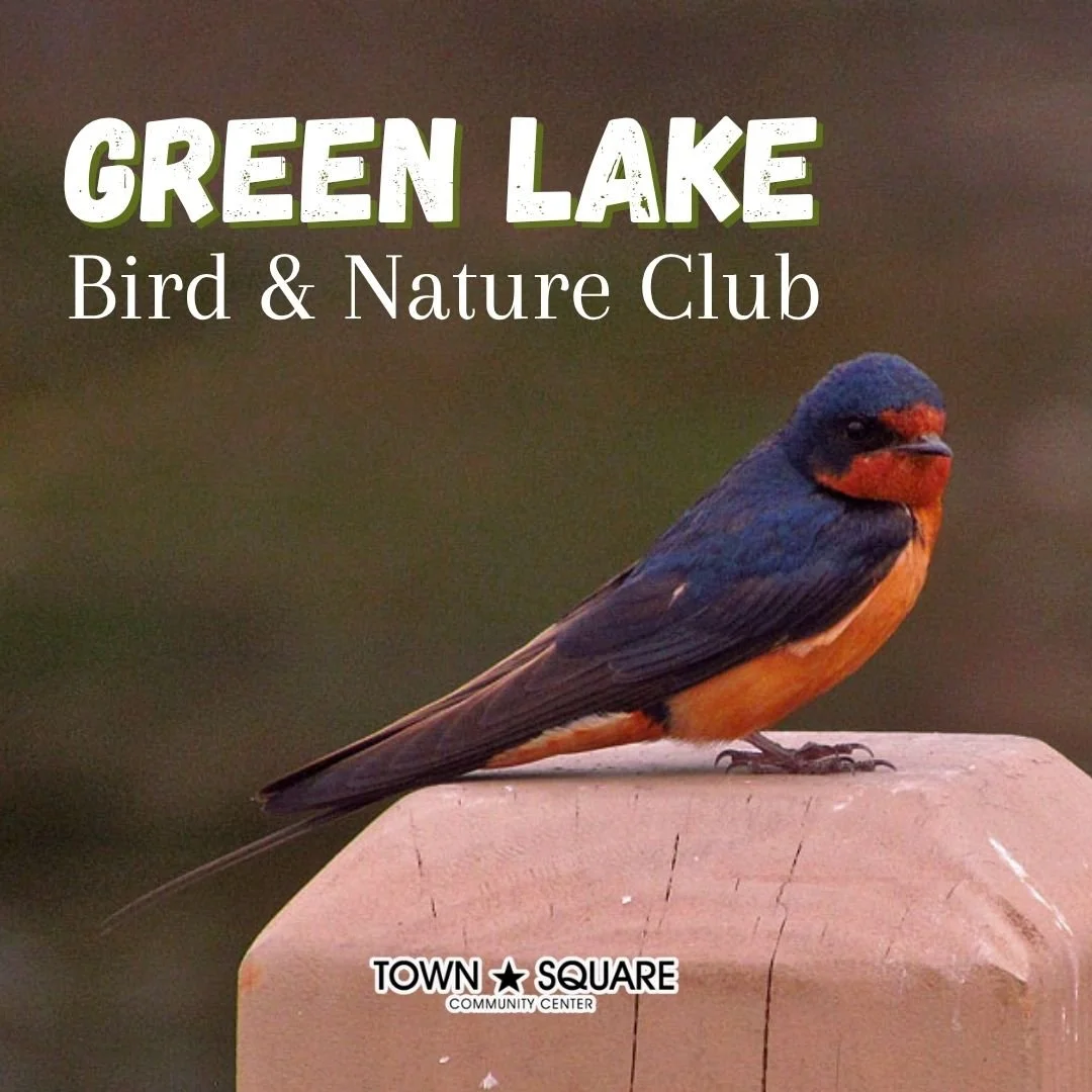 Bird and Nature Club