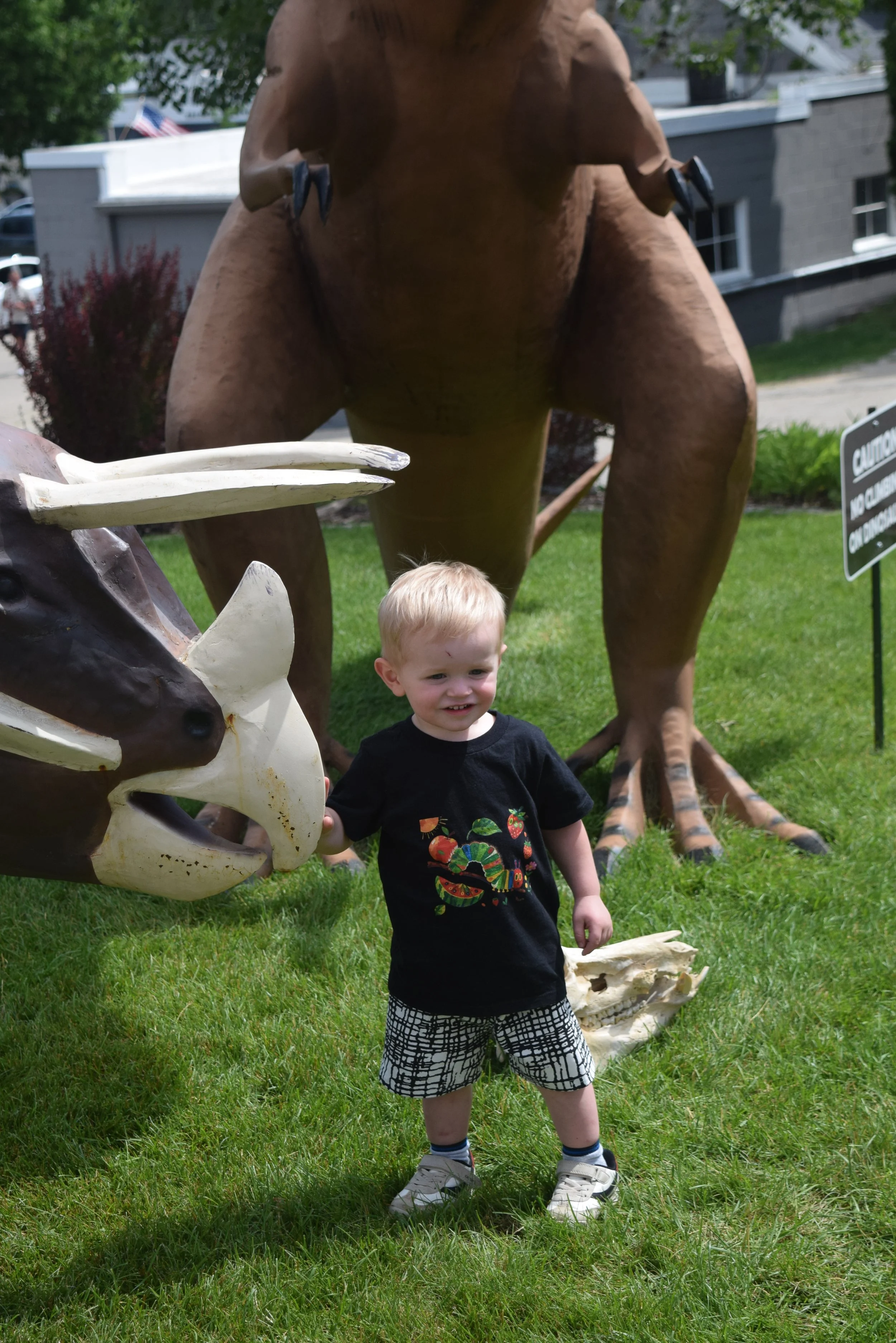 DSC_0819.JPG