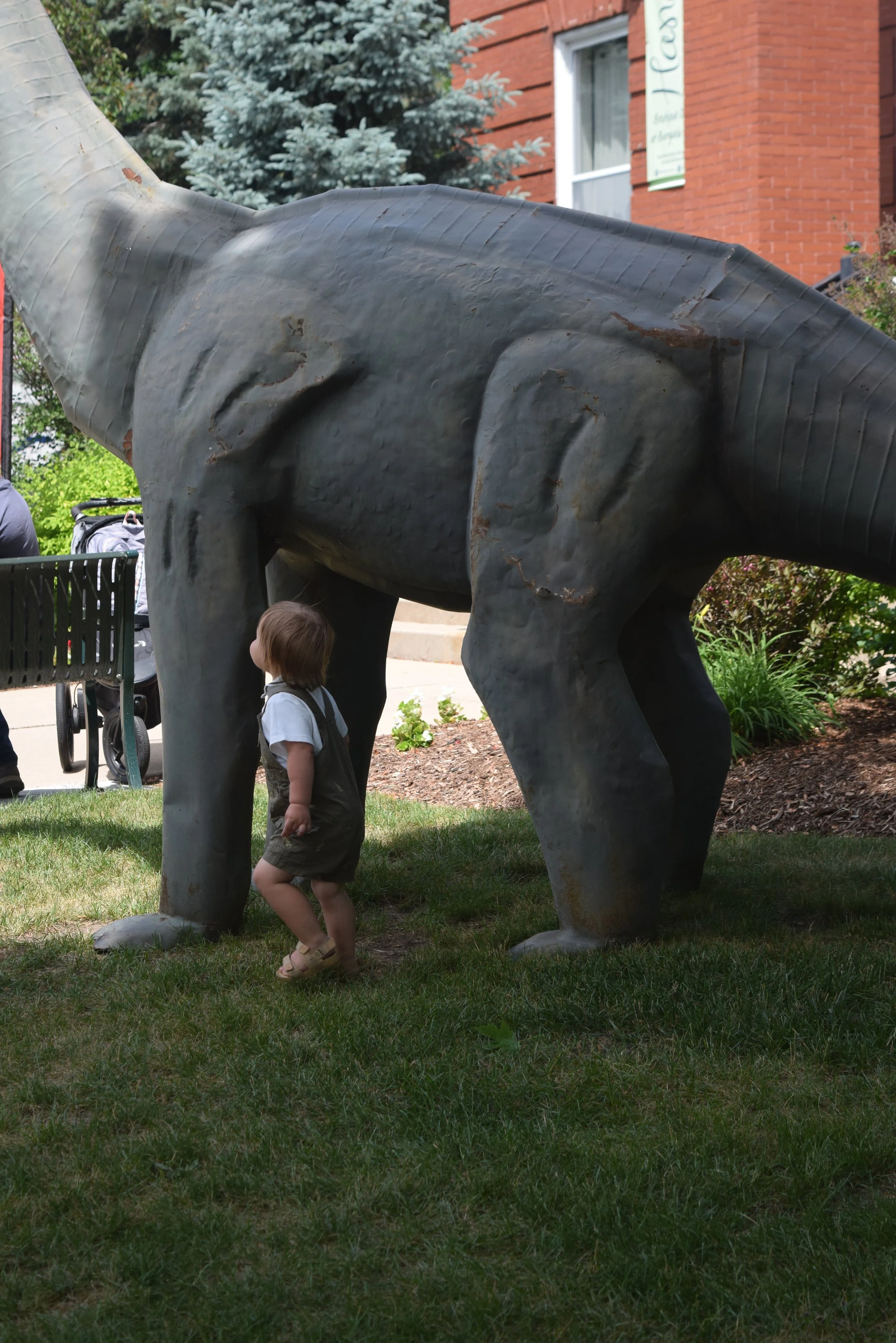 DSC_0873.JPG