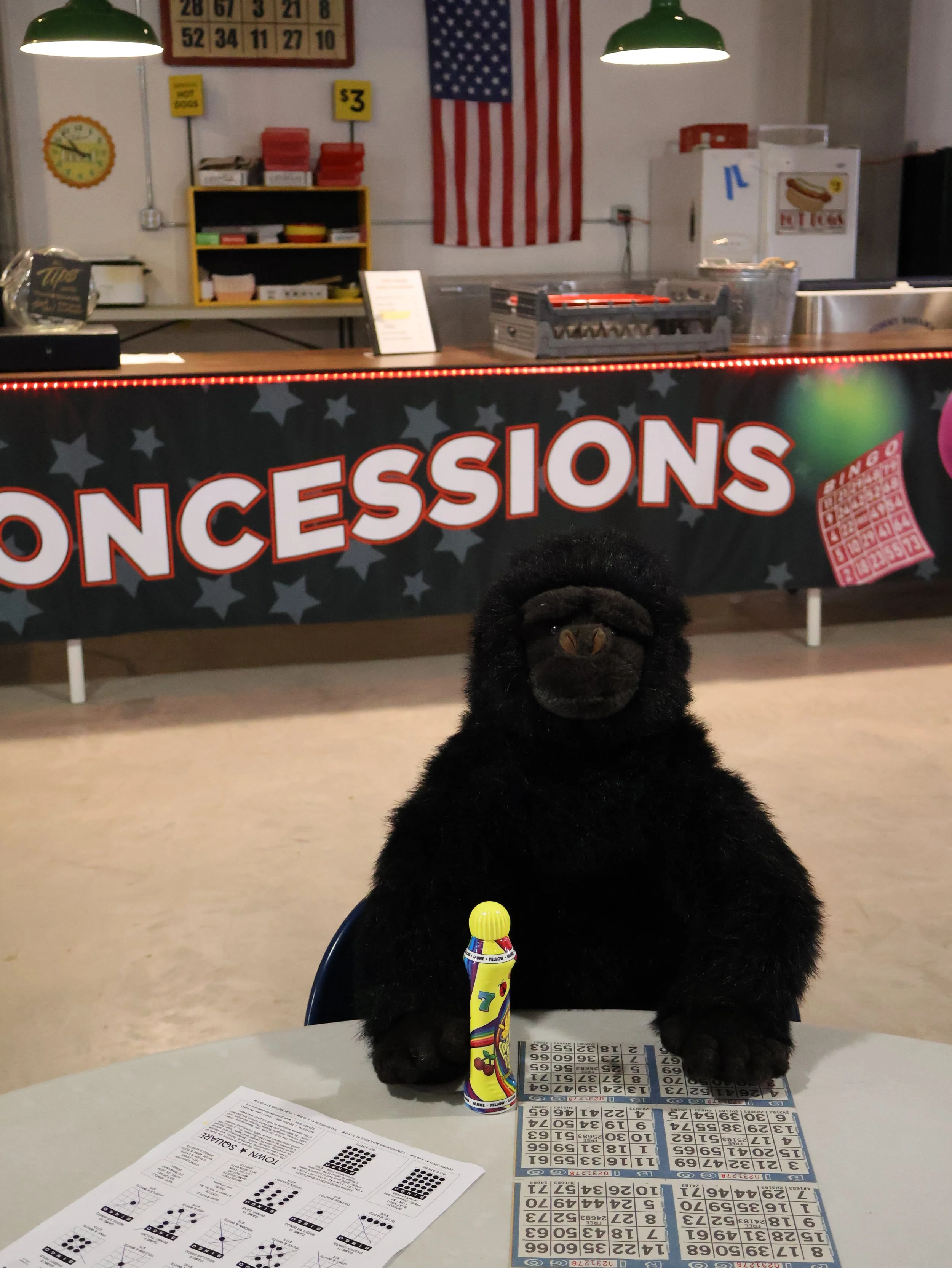 Bananas Bingo promo.JPG