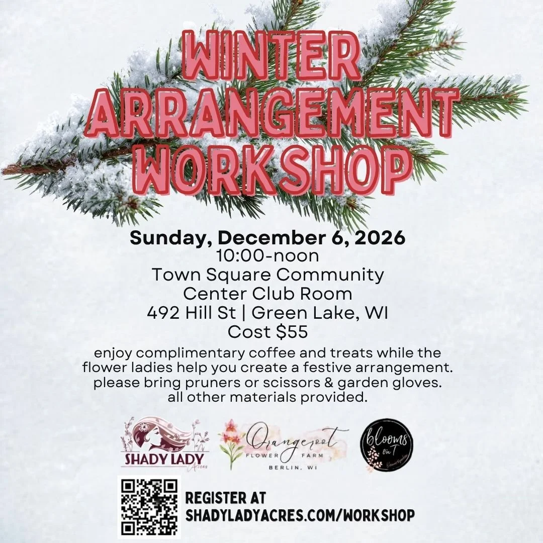 Winter Arrangement Workshop