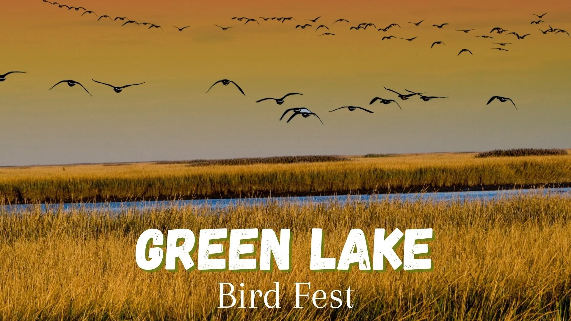 Green Lake Bird Fest graphic featuring flocks of birds flying over a wetland at sunset.