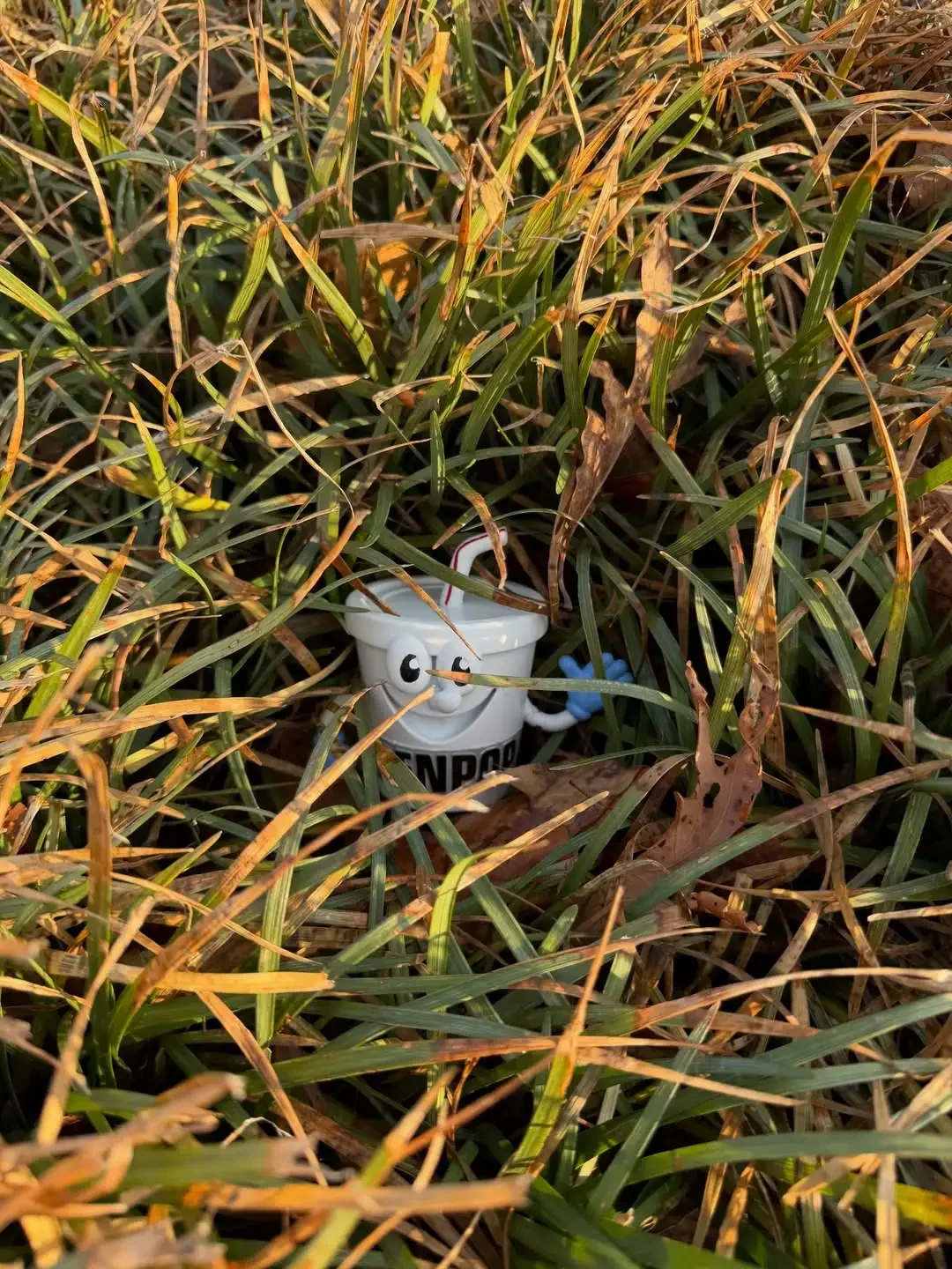 Purdue Father’s Day Gift Ideas: What Boilermaker Dads Actually Want (And Will Actually Use)