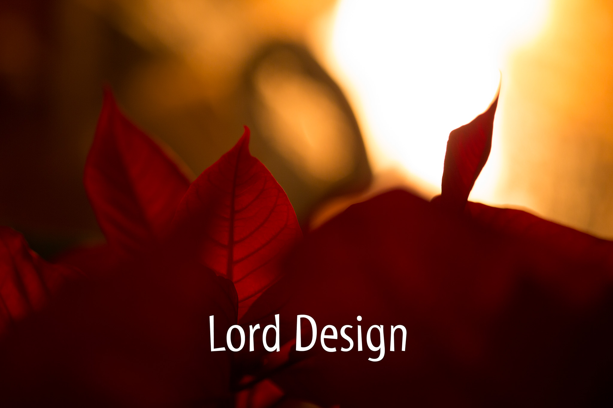 Lord Interior Design - Pete's Mountain Holiday Decorating-26.jpg