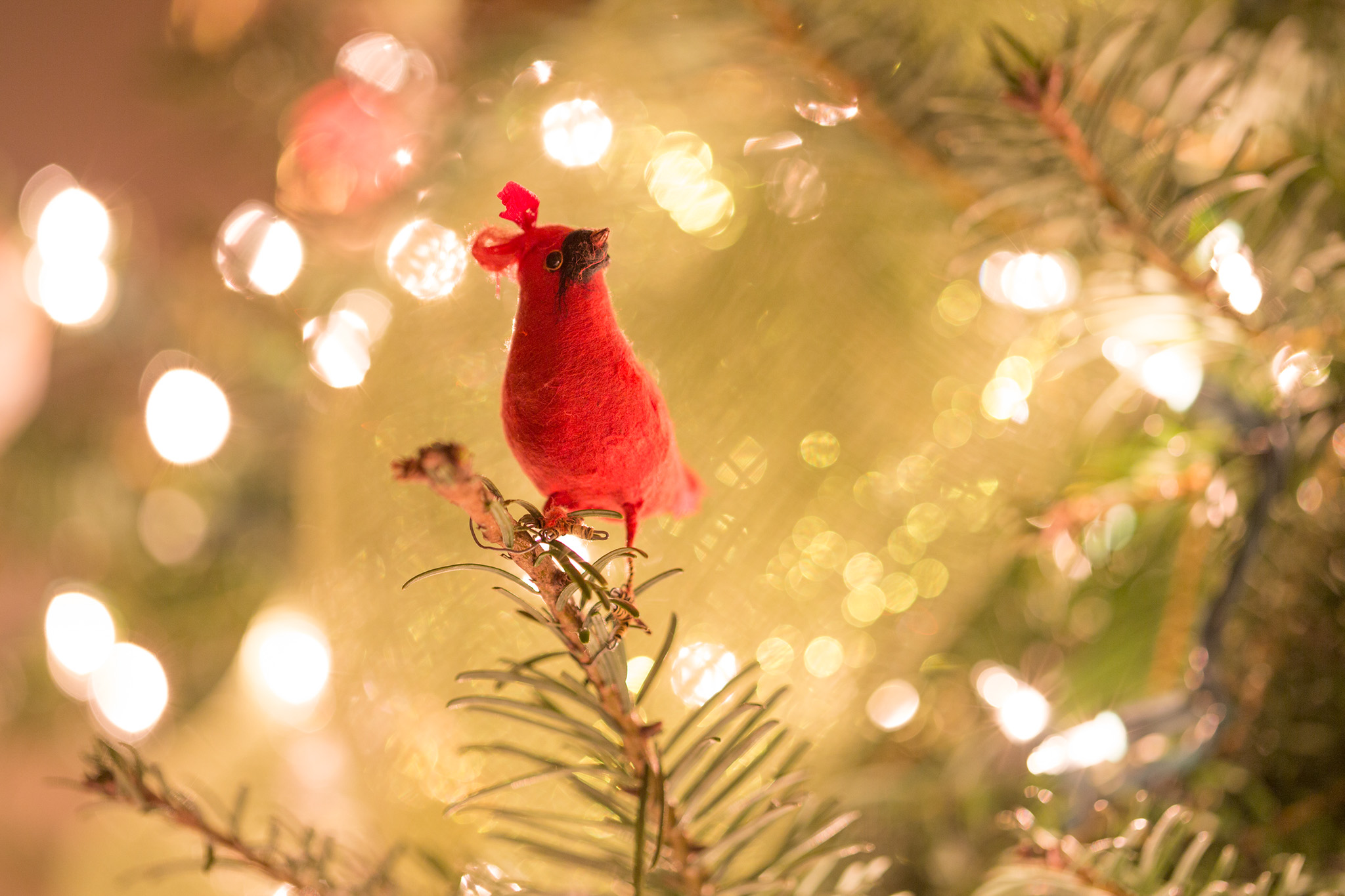 Lord Interior Design - Pete's Mountain Holiday Decorating-48.jpg