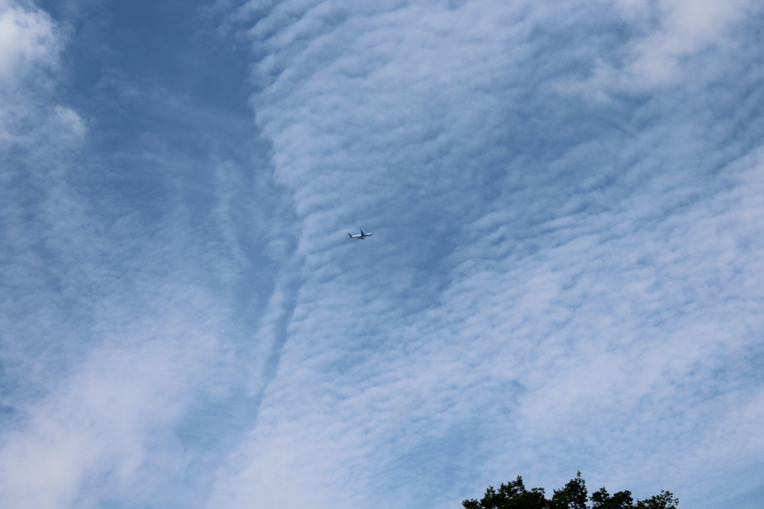 Basketball:Track and Field:IMG_4523.JPG