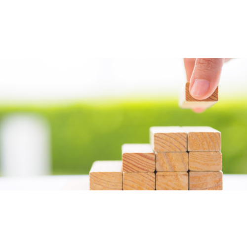 Foundation of plot.png