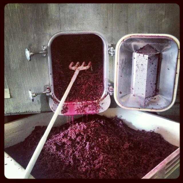 LaCoteFirst Press.jpg